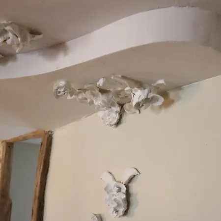 Maison Du Lys En Layon Frühstückspension *