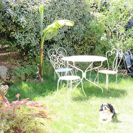 Maison Du Lys En Layon B&B