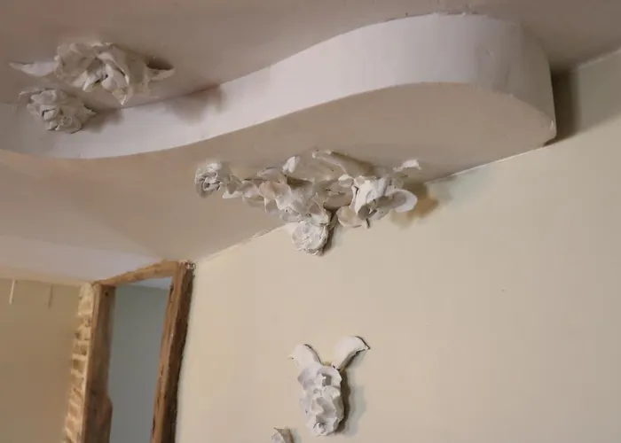 Maison Du Lys En Layon Panzió *