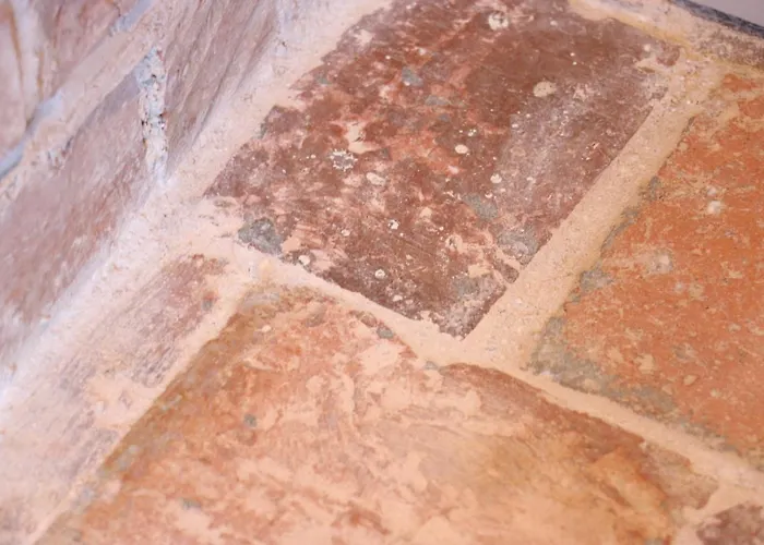 Panzió Maison Du Lys En Layon Les Cerqueux-Sous-Passavant