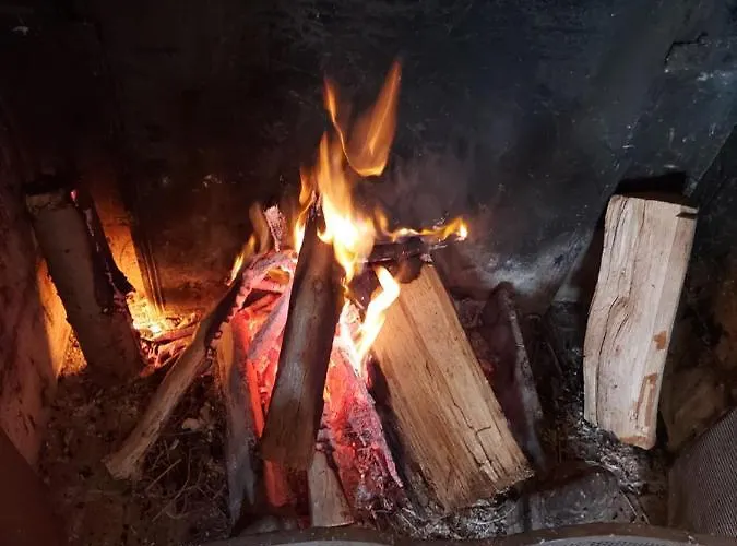 לינה וארוחת בוקר Maison Du Lys En Layon Les Cerqueux-Sous-Passavant